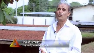 Entrega de la primera autorizaci&oacute;n de uso de la DO Cacao Arriba