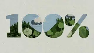 News Environment Video