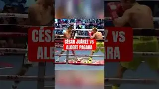 C&eacute;sar &lsquo;Coraz&oacute;n&rsquo; Ju&aacute;rez logr&oacute; la gran haza&ntilde;a ante el filipino Albert Pagara 🥊 #boxeo #boxing
