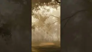 Lightfall - Violin Meditation Music, Relax, Sleep #Violin #Relax #meditation #Shorts