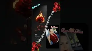 ♏📍Link☝🏼 @lexatarot