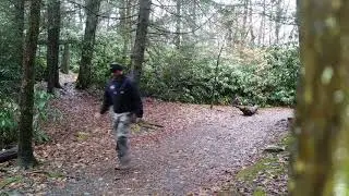 Orchard loop trail