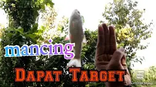 MANCING BARENG ANAK & KEPONAKAN #tutorialyoutube #seputaryoutube #tutorialmancing #apriwiranggani