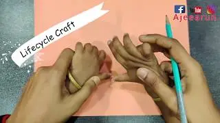 Lifecycle Craft | AjeeArun