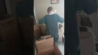 building a box fort