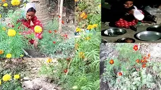 আজ বিকালের‌ ব্যাসততা।
