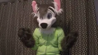 How to Interact with a Fursuiter