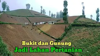 Suasana Pertanian di Lereng Gunung Bromo Semeru