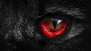 Tiger Mountain Ghost Story Podcast | Ghostly Activities