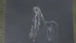 Negative Effect Art | HORSE | PORTRAYME