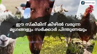 Livestock Insurance Scheme Course Trailer in Malayalam | ffreedom app