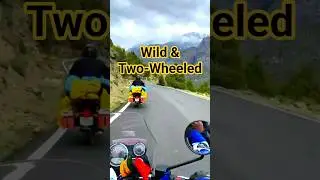 WILD Rides on Two Wheels #ytshorts