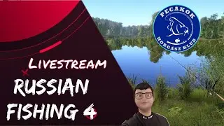 🎣PHK🎣Maci Golden Tench horg&aacute;szat🎣#708 🎮HU/DE🎣Road to 44 Level🎣
