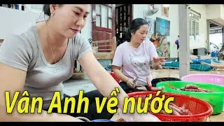 Mừng Vân Anh con cậu 9 về nước - Cô 5 cô Út 15 cảm động vì món quà tết sớm