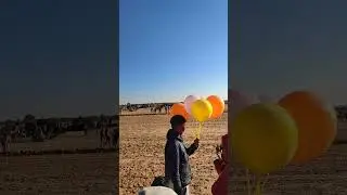 Festival de douz tunisia 
