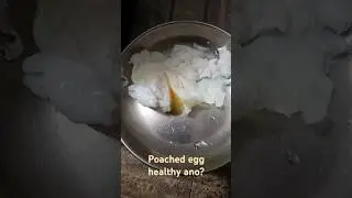Poached Egg