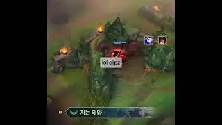 Ashe special collection