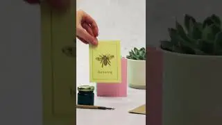 Our CuriOsity Card Collection