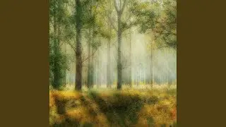 Passing Through (Psychedelic)