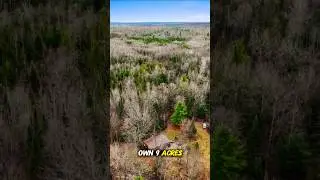 Cheap Land & Cabin in Michigan &ndash; Too Good to Pass?