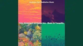 Contemporary Zen Meditation