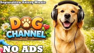 12 HOURS of Relaxing Music For Dogs🎵Anti Separation Anxiety Relief 🐶 Pet music🦮 No Ads