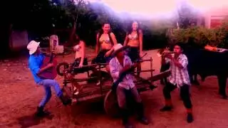 Ayote en Miel - Gruesa larga y ardedora
