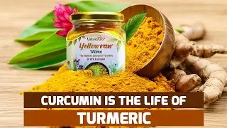 Yellowraw Ultima | Nature's Box | Highest curcumin | Curcumin in turmeric | World's highest curcumin