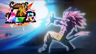 DRAGON BALL DOKKAN BATTLE  - 2026 NEW DAIMA Category   with SS4 GOKU and SS3 VEGITA