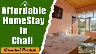 Best homestay in chail with mountain view | budget friendly stay in chail | chail hotels #hotel