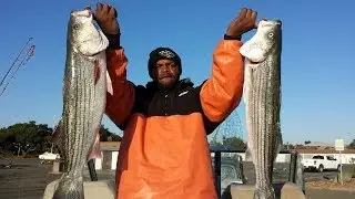 Northern California Big Striper Fishing