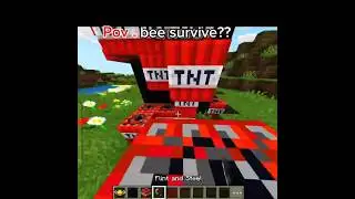 Pov-bee survive??#shorts#minecraft