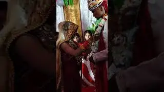 sk sahil to