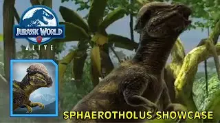 Sphaerotholus Showcase - Jurassic World Alive