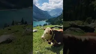 The country you MUST see before you die! 😍 #switzerland #swissalps #swisstravel