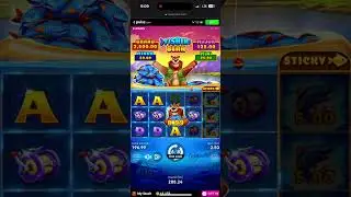 Pulsz casino fishing bear 😬🤑🤑🤑
