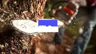 Tree Service St  Louis - STL Pro Tree Services