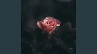 Left in the dark