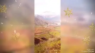 н.Ш шохин  д.Кишт