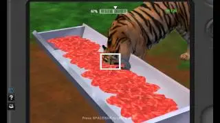 Zoo Tycoon 2 Radical Remake Part 8 Bengal Tiger