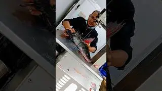 amazing giant Ayer fish family cutting river fish cutting skills video #youtube #fishshortsvideo