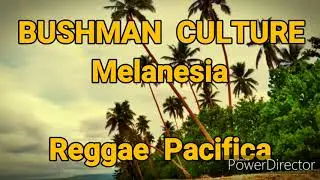 BUSHMAN CULTURE_MELANESIA (Official Audio 2019)