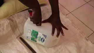 Dustpan