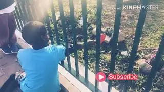 Just for fun clip