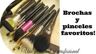 Guía de brochas y pinceles favoritos. Uso personal y profesional