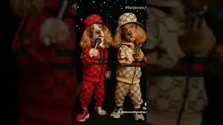 Rubyroo and the TikTok crew&rsquo;s Christmas single. I loved this song growing up so I thought why not