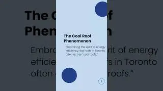 Did you know Toronto's flat roofs hold some surprising secrets?