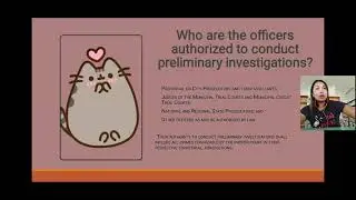 Preliminary investigation