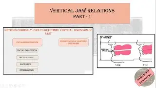 Vertical Jaw Relation | Vertical Dimension at Rest | Freeway Space