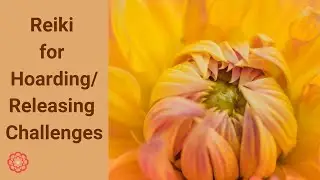 Reiki for Hoarding Challenges 💮